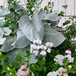 Wedding Floral Design