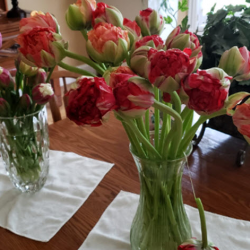 Corporate Floral Services