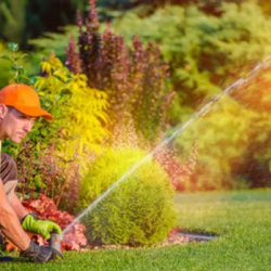 Full Design Services