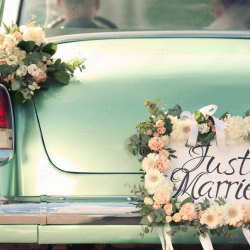  Sign & Go-Marriage   License Signing