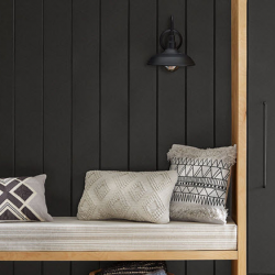 Paint Color Matching