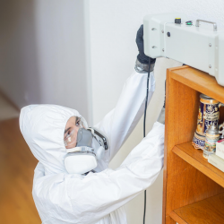 Odor Removal Services