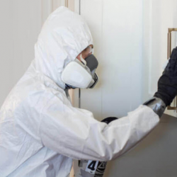 Virus / Bacteria Disinfection Services