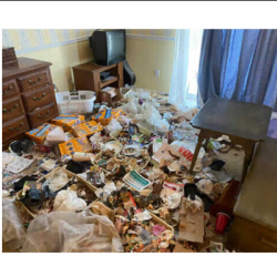 Gross Filth Cleaning
