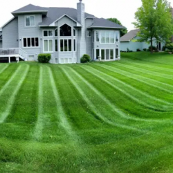 Weekly Mowing Service