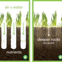 Aeration And Over Seeding