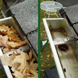 Gutter Cleaning