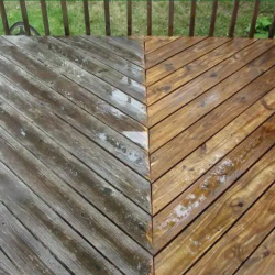 Pressure Washing