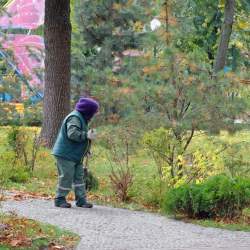 Fall Cleanup – Shrub / Planting Beds