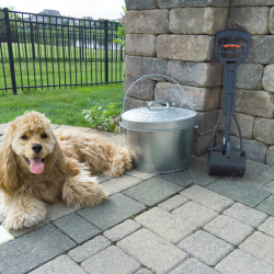 Poop Scooping/Yard Cleanup