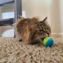 “Almost Overnight” Staycations