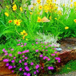 Seasonal Garden Maintenance