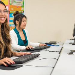 Digital Skills Training