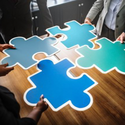 Diversity Assessments