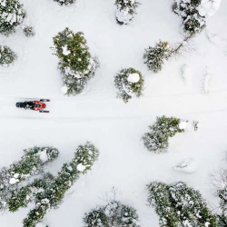 Recreational Insurance