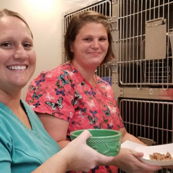 Nutritional Counseling