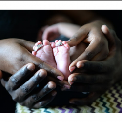 Family Wellness Chiropractic