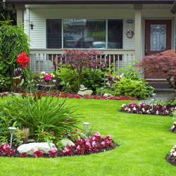 Landscaping and Outdoor Spaces