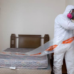 Biohazard Cleanup & Restoration