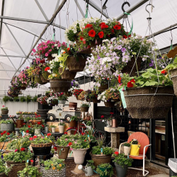 Gardening Workshops and Events