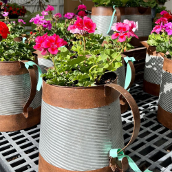 Seasonal Planting and Holiday Décor