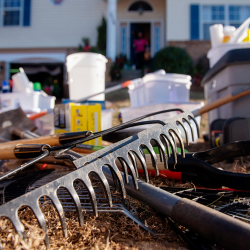 Lawncare Services Support Plan