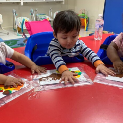 Comprehensive School- Age Program