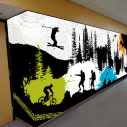 Window Graphics & Wall Murals