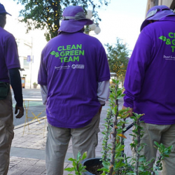 Beautification & Greenscape