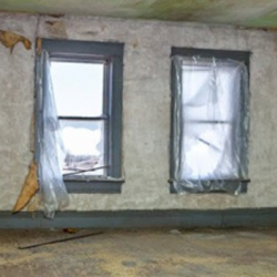 Mold Removal and Inspection Services