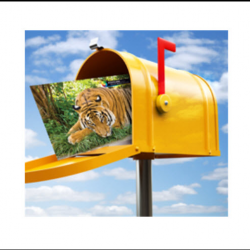 Direct Mail Services