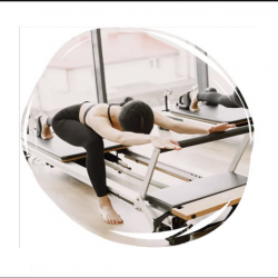 V2 Max Plus Reformer