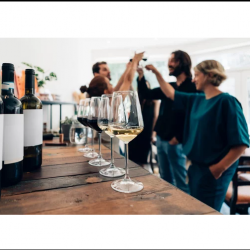 Wine Tasting Excursion