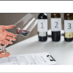 Wine Education Workshops