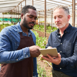 Business / Farm / Practice Succession Strategies