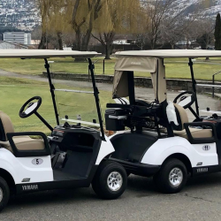 Golf Cart Rental