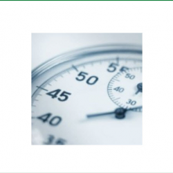  Program & Project Management Services