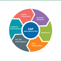  SAP Consulting Services