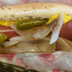 Vienna Pure Beef Polish Sausage