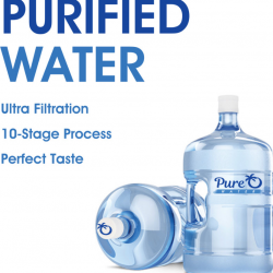 Purified Water