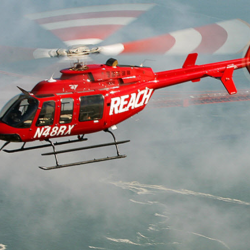 Renew and Add Coverage