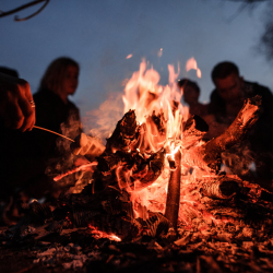 Bonfire Nights