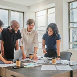 Project Management & Consultation