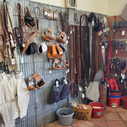 Leather Belts & Buckles