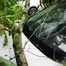 Windshield Repair & Replacement