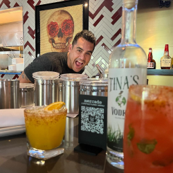 Mixologist Consultations