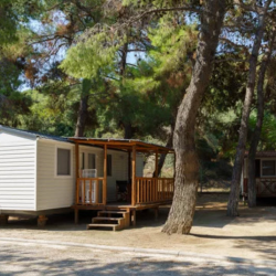 Cottage & Cabin Rentals