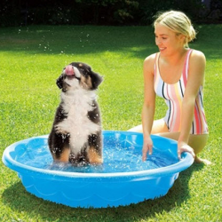 Pet Wash