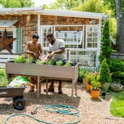 Garden Center