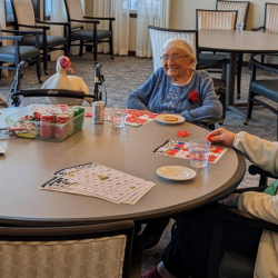 Bingo Nights